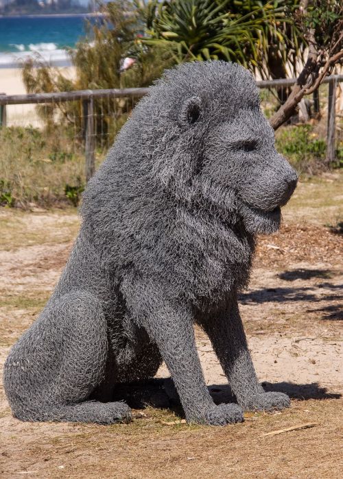 lion sitting model