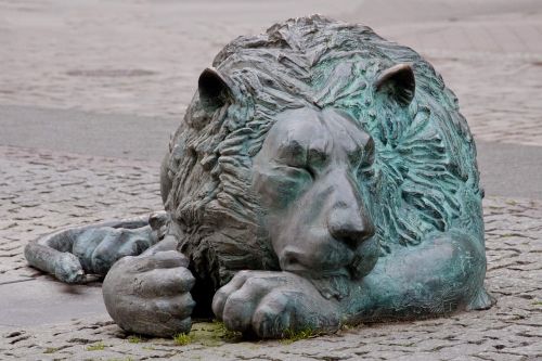 lion gdansk gdańsk trójmiasto