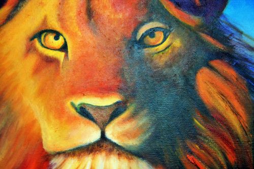 lion in oils painting canvas