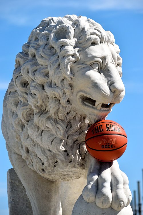 lion sculpture  statue  monument