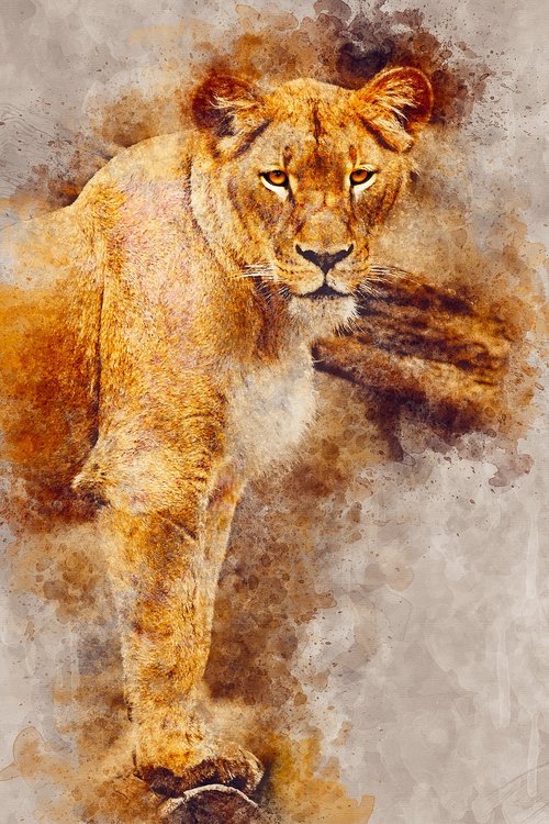 lioness  wild  looking