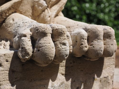 lions feet feet claw