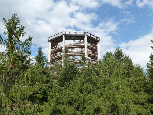 lipno lookout in the trees