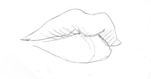 lips mouth drawing
