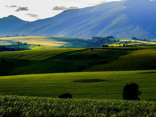 liptov field mountain