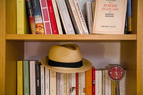 literature  bookcase  library