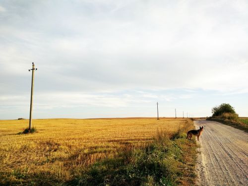 lithuania country village