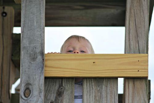 little boy park peek a boo