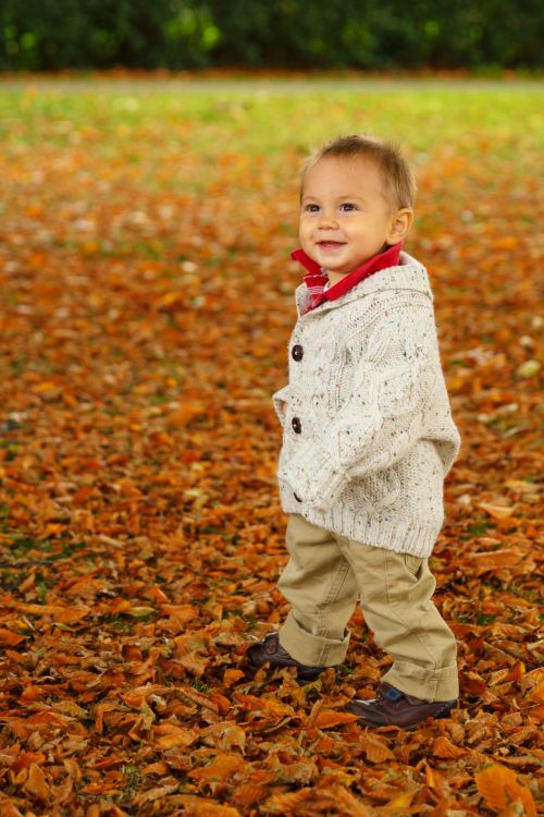 Little Boy In Autumn Leaves