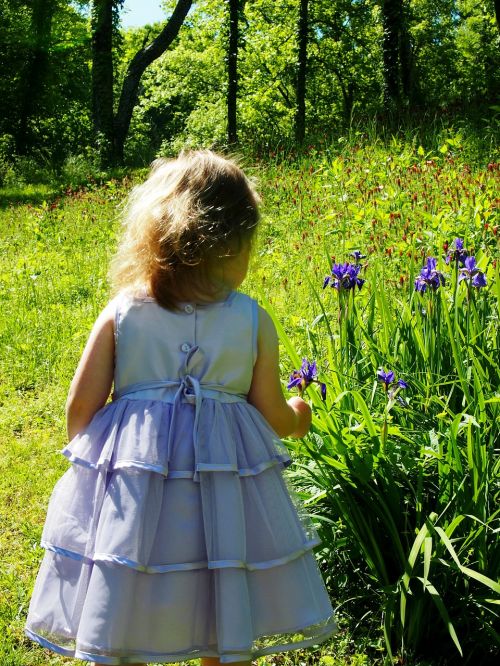 little girl purple dress irises
