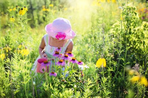 little girl wildflowers meadow
