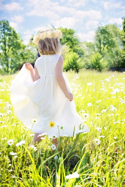 little girl daisies summer