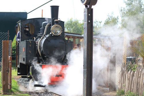 little train park locomotive