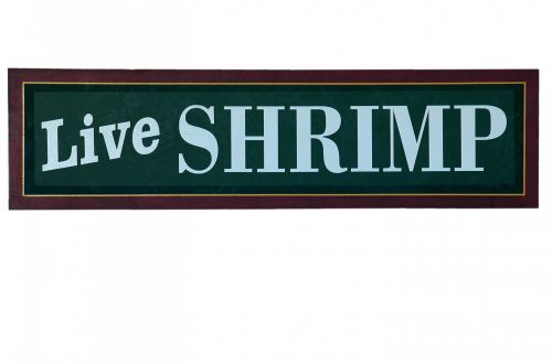 Live Shrimp Sign