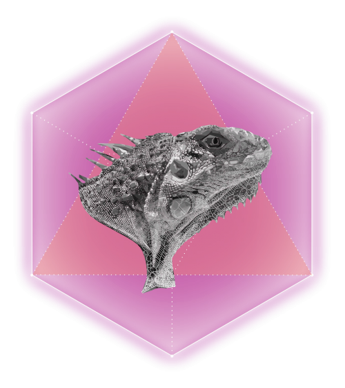 lizard hexagon rosa