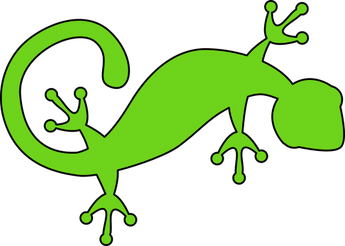 lizard gecko green