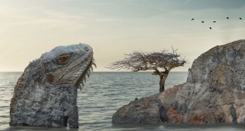 lizard iguana monitor