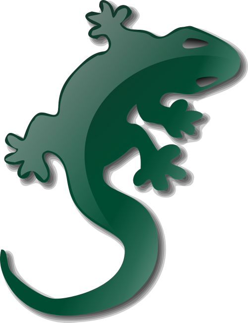 lizard gecko reptile