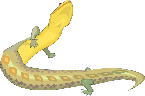lizard green yellow