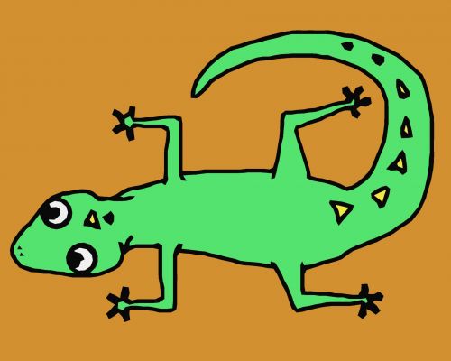 Lizard Outline In Color