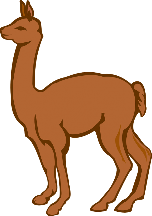 llama creature farm