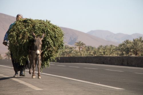 load africa morocco