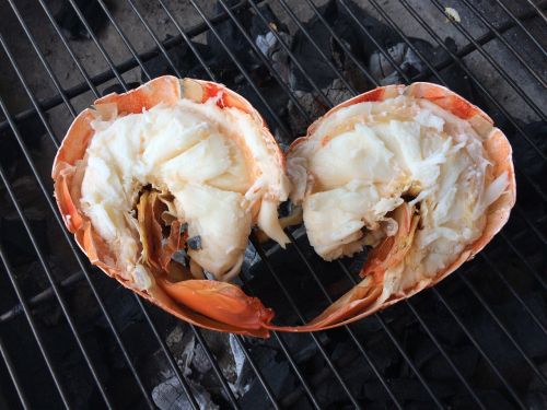 lobster average three islands vietnam