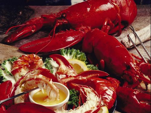 lobster meal food