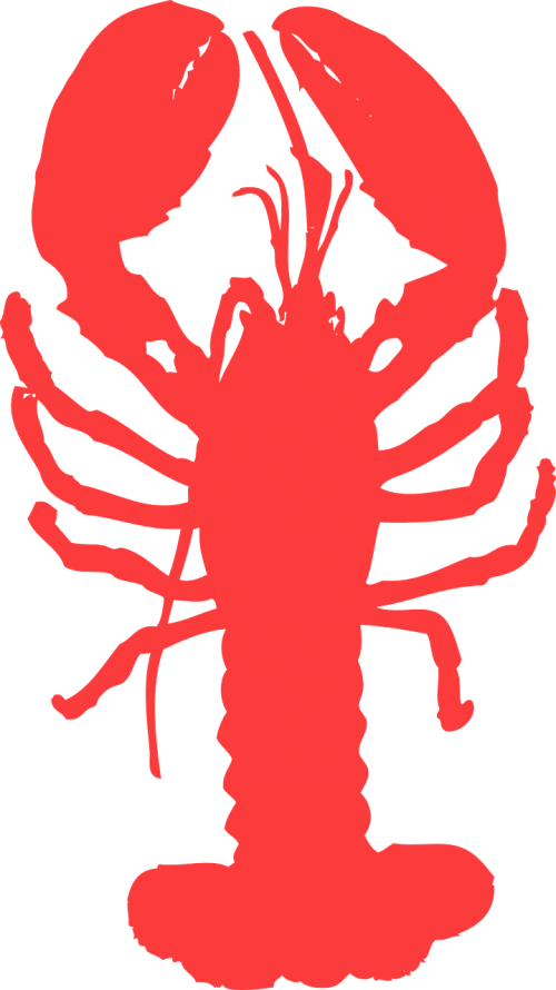 lobster animal marine
