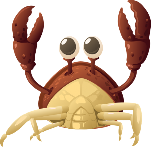 lobster crab sea life