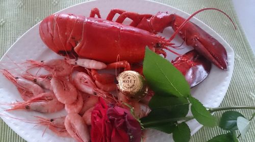 lobster shrimp mat