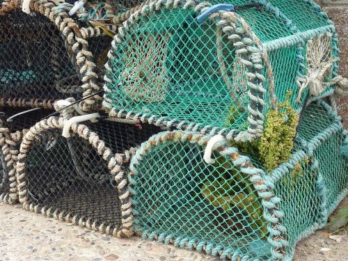 lobster baskets fishing fischer