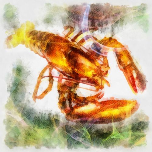 Lobster Digital Painting