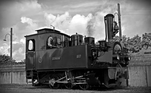 loco steam locomotive hermann