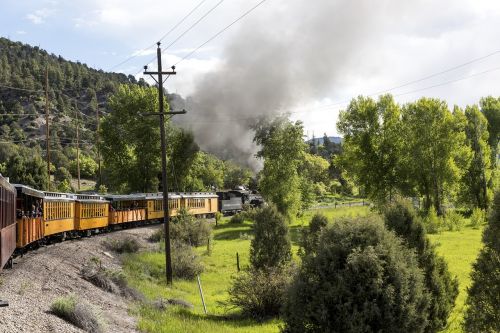 loco locomotive steam locomotive