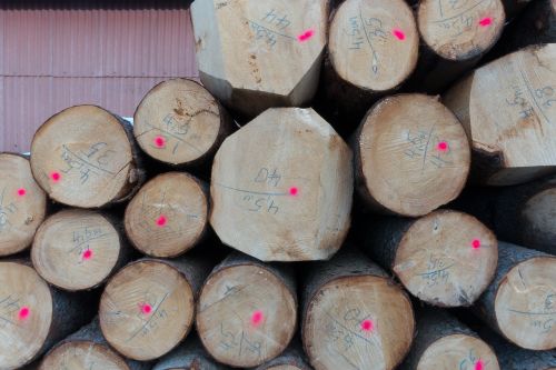 log timberyard mark