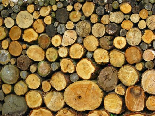 log logs pile