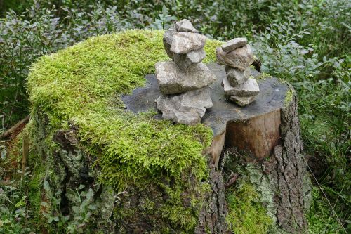 log moss stones