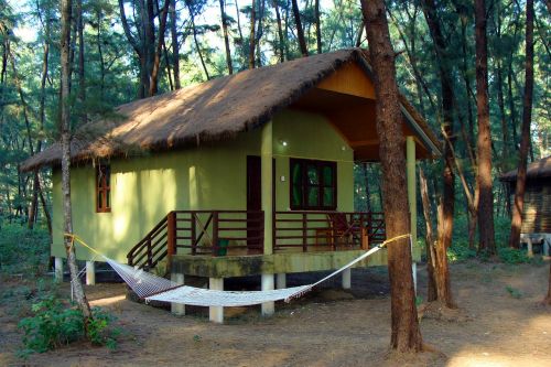 log hut wood cabin