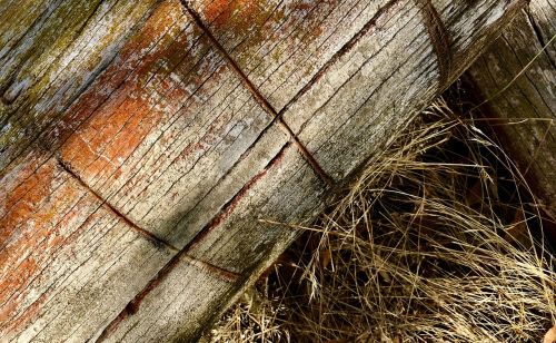 log wood timber