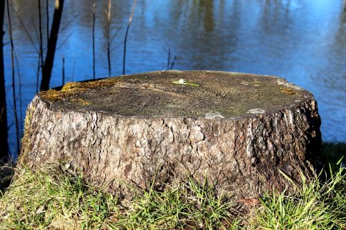 log nature waters