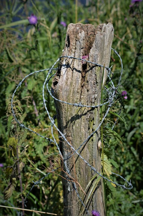 log  barbed wire  wiring