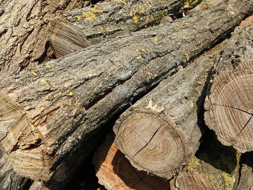 log tribe pile of wood