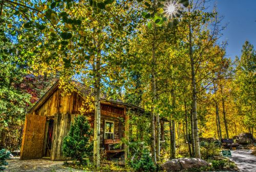 log cabin nature forest