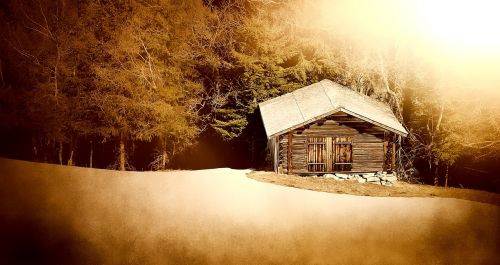 log cabin wood mint mountain hut
