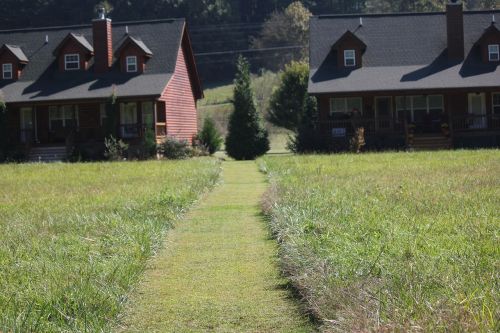 log cabin meadow mountain