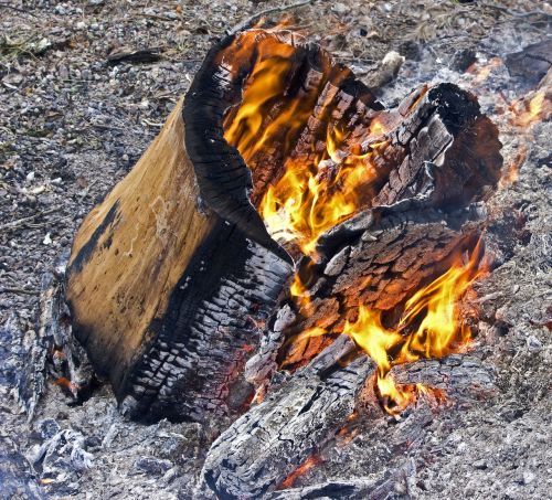 log fire fire burn
