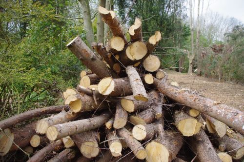 log pile countryside stack