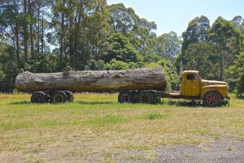 log truck wreck logging