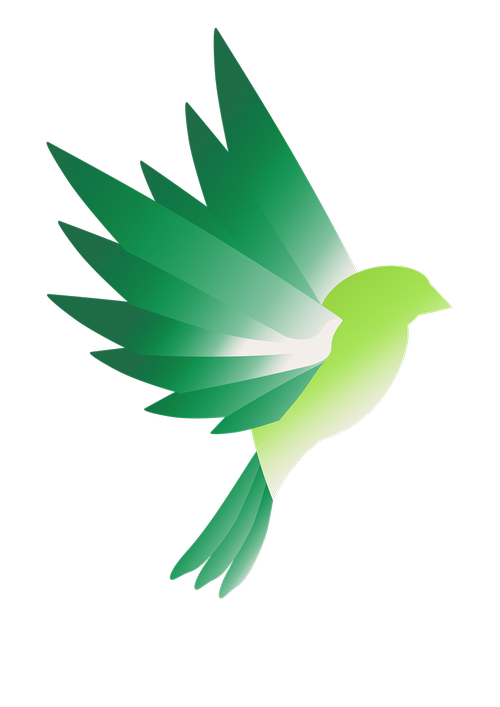 logo  bird  green